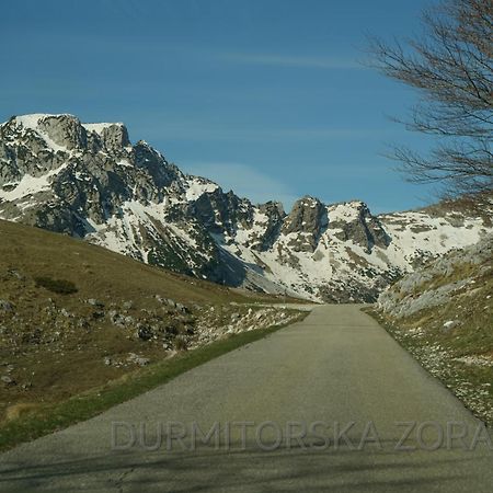 Durmitorska Zora Villa Zabljak  Ngoại thất bức ảnh
